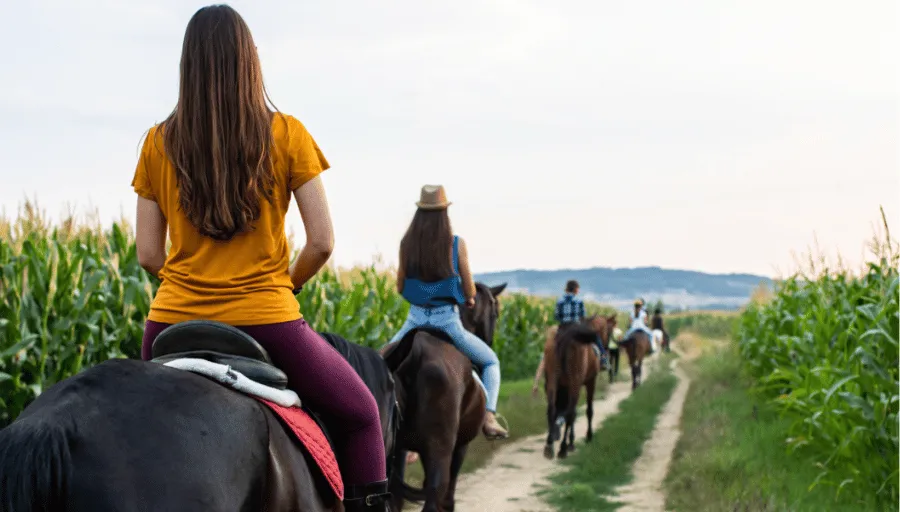 Kapadocja konno photo 3